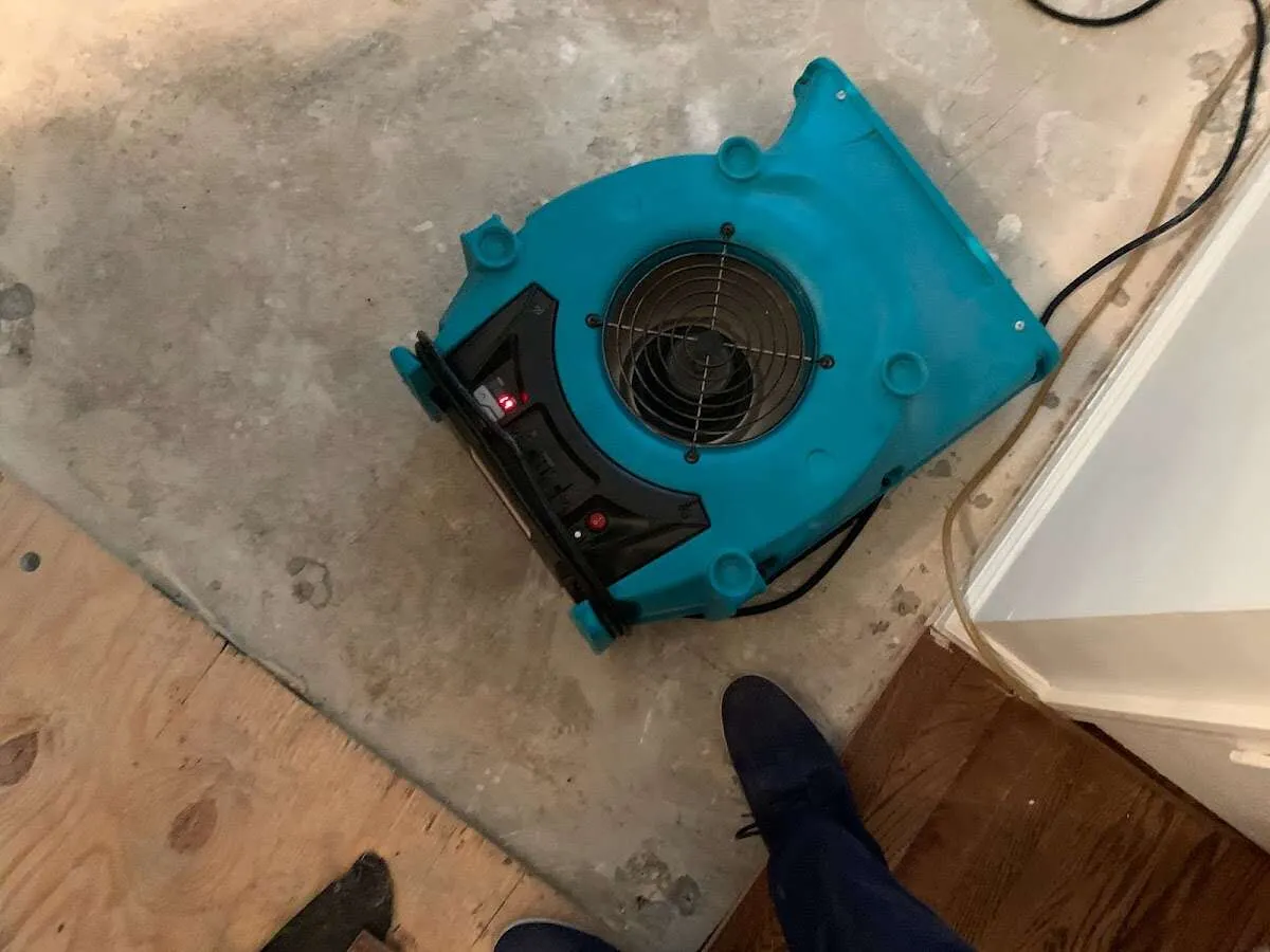 Air mover drying subfloor during Leak Detection & Repair in Danbury